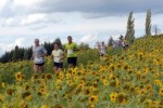 19. Loipersdorfer Buschenschank-Lauf + Nordic Walking