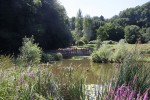 JAZZ am Teich